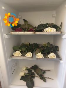 ID-Паспорт заморожування свіжих квітів до -44С від IDeal Fiowers перед ліофілізацією