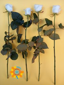 ID-Паспорт сублімованих квітів IDeal Fiowers