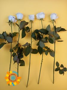 ID-Паспорт ліофілізованих квітів IDeal Fiowers