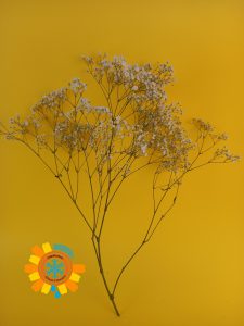 ID-Паспорт сублімованих квітів IDeal Fiowers