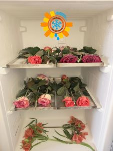 Як виробляють сублімовані квіти в Bulova Flowers