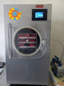 Лиофилизация цветов в сублимационной сушилке Bulova