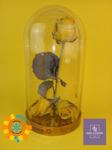 Ліофілізована роза від IDeal Flowers