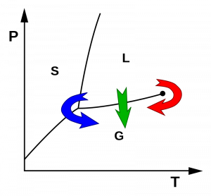 Custom lyophilization