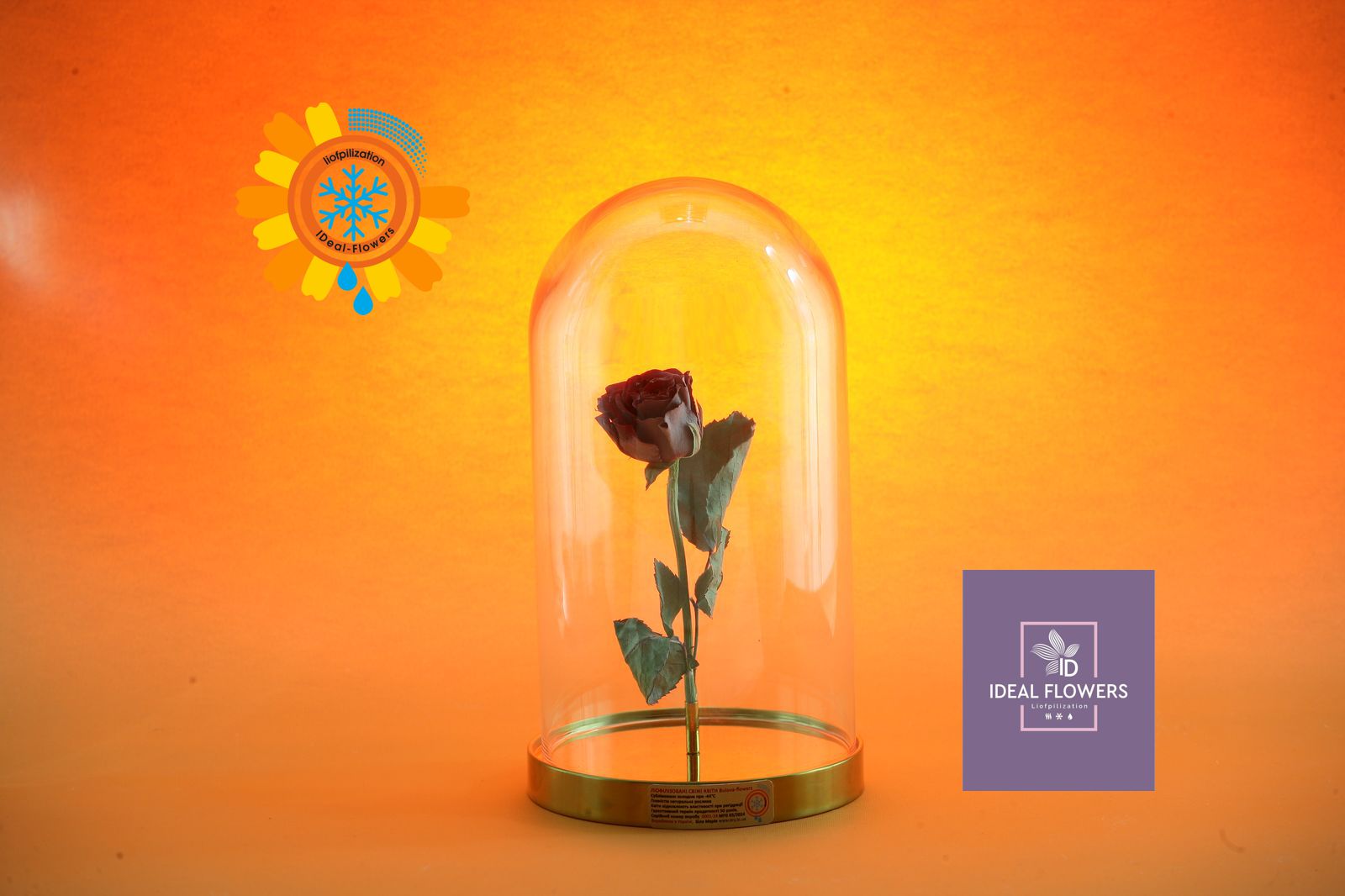 Сублімовані квіти в Україні