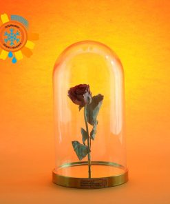 Freeze dried rose from ID Flowers buy