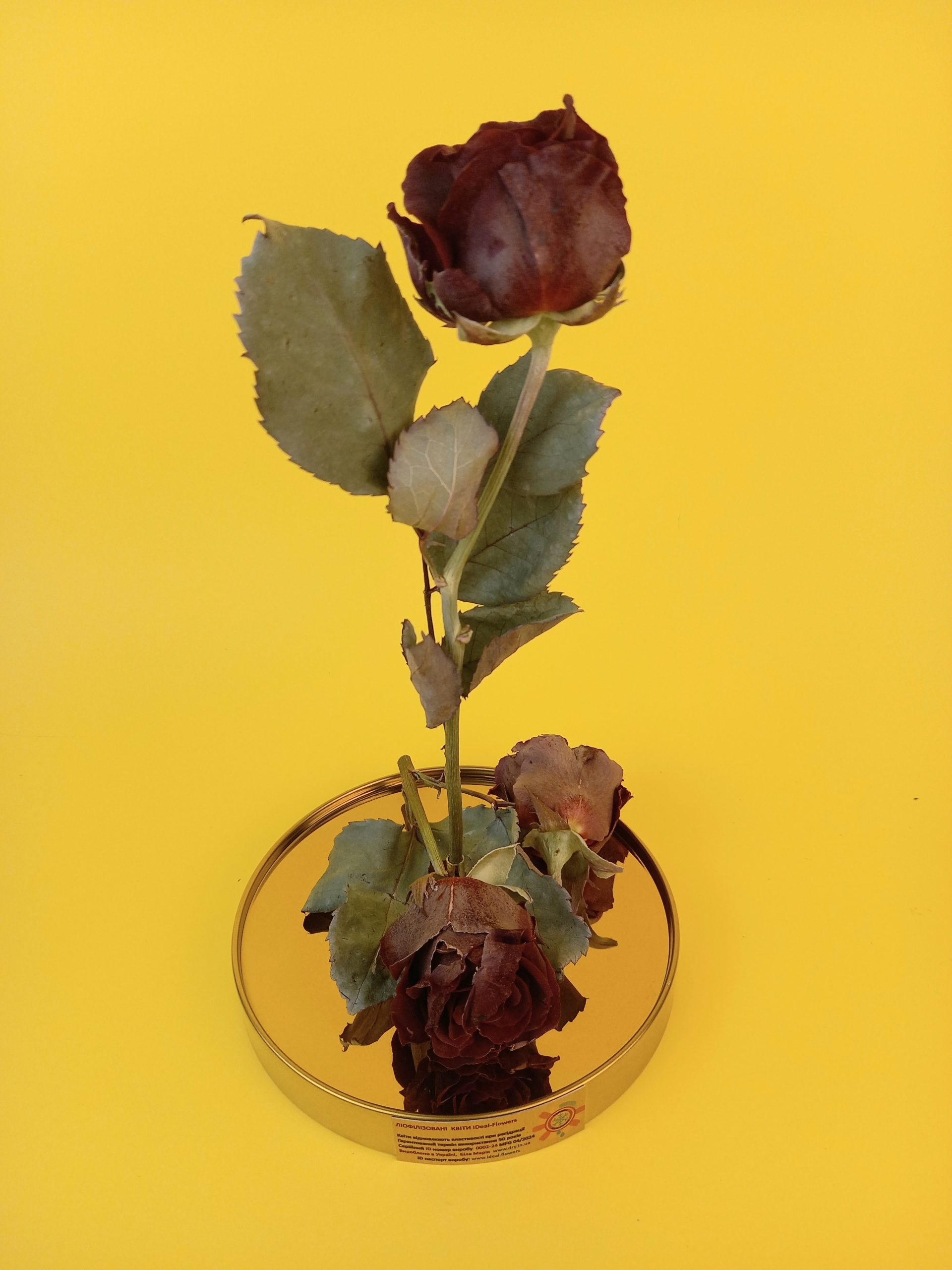 IDeal Flowers sublimated red rose - Image 2