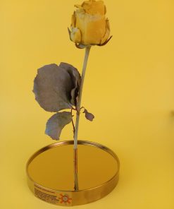 Ліофілізована троянда IDeal Flowers