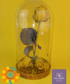 Купити сублімовані квіти