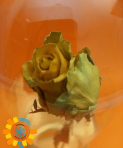 Сублімована жовта троянда IDeal Flowers