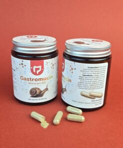 Гастромуцин Mucus pro 260