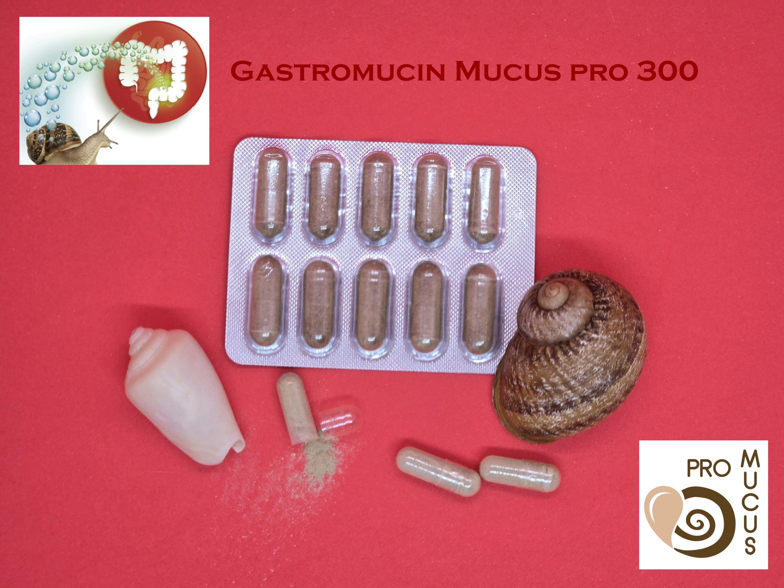 Гастромуцин Mucus pro 300