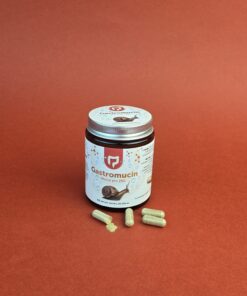 Gastromucin Mucus pro 260 купити