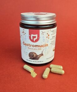 Gastromucin купити